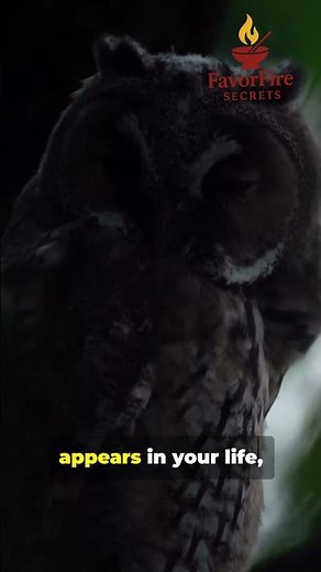Owl’s Hidden Message 🦉 | Ancient Wisdom & Spiritual Secrets Revealed #OwlSymbolism #SpiritGuides