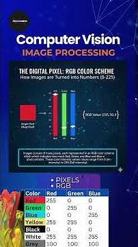 Convolutional Neural Networks in Computer Vision | Image Classification