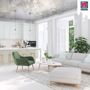 1K views · 14 reactions | Don’t neglect your ceilings! Refresh your ceilings with our Odour-less Anti-Mould Ceiling White Paint made with anti-mould properties, perfect for protecting ceilings in damp areas like the kitchen and bathroom. Buy Odour-less Anti-Mould Ceiling White Paint here: https://www.nipponpaint.com.sg/store/products/odour-less-anti-mould-ceiling-white/ | Nippon Paint Singapore | Facebook