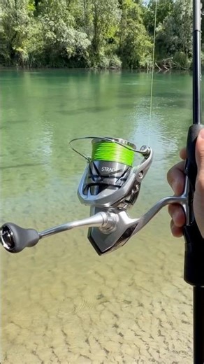 Shimano STRADIC 🎣💣 #fishingreel #stradic #fishing #shimano #shimanoreels #fishingvideo #spinning
