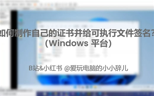 【教程】如何制作自己的证书并给可执行文件签名？(Windows）