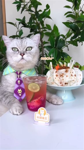 Chef Cat ChangAn on Instagram: "🥞Want To Try The MOST DELICIOUS Pancakes Ever?🤤 #cat #cats #catlover #kitten #pets #meow #kitty #cute #pet #animals #dog #asmr #satisfying #slime #satisfyingvideos #asmreating #asmrvideo #asmrfood #food #relax #cooking #foodie #reelsviral #reelsvideo #chefcat"