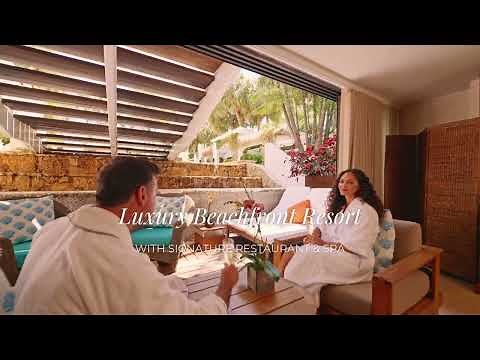 The Palms Hotel & Spa, Miami Beach | Luxury Sustainable Wellness Resort With Oceanfront Views