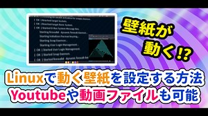 Linuxで動く壁紙をやる方法Youtubeや動画ファイルも可能 【VLC】