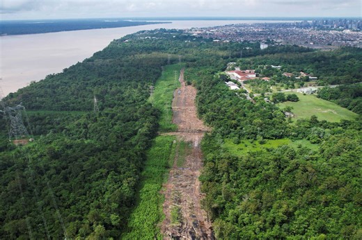 Fury as Brazil downs 100,000 trees in Amazon to build road for Cop30