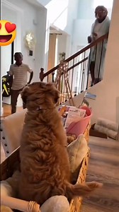 Kids priceless reaction for having a new puppy! ❤️🥹 Me : 🥹🥹🥹 | Emerson Ni Iverson