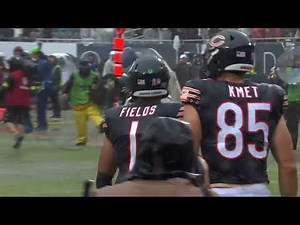 Bears celebrated their win in the most fun way possible