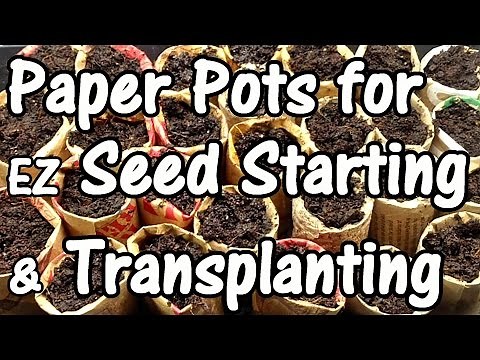 How to Make Free Paper Pots for EZ Seed Starting, Transplanting & Potting Up