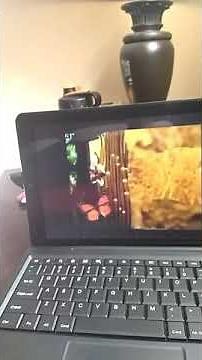 Sesame Street Alphabet Jungle