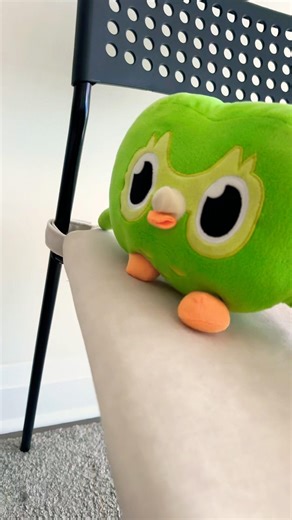 Everyone Passed… Except Duo 😅