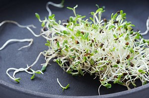 10 Natural Ways to Lower Your Cholesterol - GoodRx