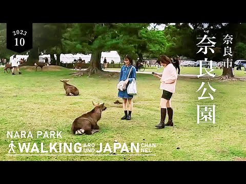 【4K/奈良散歩】奈良公園の街歩き Walking around Nara Park,Nara,Japan,2023