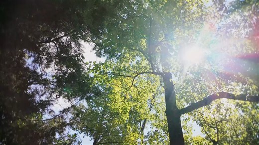 A nice little neighborhood. A beautiful spring day. And Leslie Preer... dead. Tonight at 9/8c, on an all-new Dateline with Blayne Alexander. | Dateline NBC