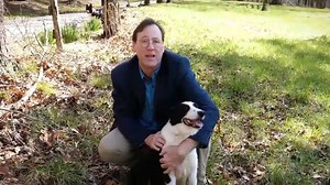 Out & About With Barney: Border Collie trainer shares insider knowledge