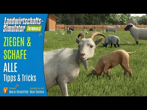 LS25 Tutorial: Ziegen und Schafe – Der perfekte Start für deinen Hof!