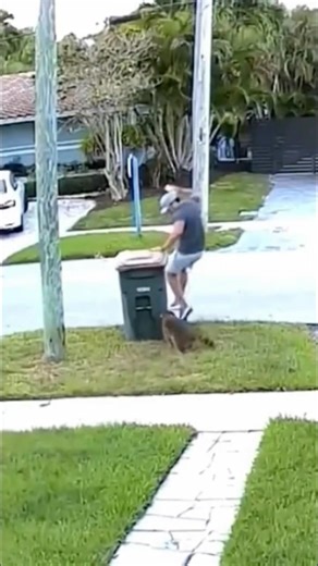 Guy runs into a street sign while getting chased by a coon #shorts #lol