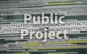 【分子生物学动画】人类基因组计划之公众测序工程 Human Genome Project Sequencing: Public Project（中英双字幕）
