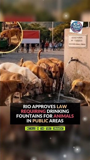RIO’S KIND MOVE! 🐾💧 Mandatory Water Fountains for Stray Animals!