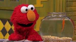 Sesame Street