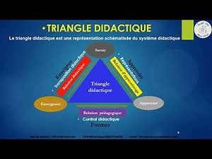 Training in physics didactics, part 2 (didactic triangle, transposition, representation)