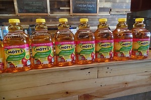Mott's 100% Original Apple Juice: Nurturing Goodness for Your Family (Plus, recipes!) - Mommy Plannerista