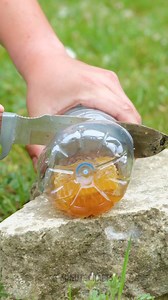 979K views · 8.7K reactions | How to make your summer time unforgettable | 5-Minute Crafts Like | Facebook