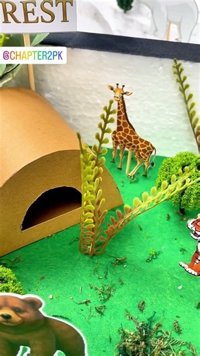 Animal Habitats Science Project 3D Model | School Science Fair Idea & Ecosystem Craft