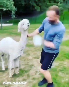 🤣🤣🤣🤣 | Cypress Hill