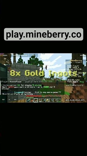 Mineberry Minecraft Server| #minecraft #gaming