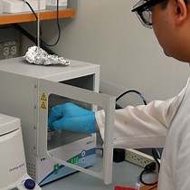 Video: A Spin-Tip Enrichment Strategy for Simultaneous Analysis of N-Glycopeptides and Phosphopeptides from Human Pancreatic Tissues