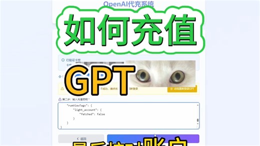 Wildcard/野卡开通ChatGPTPlus怎么选？效率炸裂