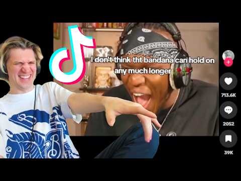 xQc Reacts to the FUNNIEST TikToks From Chat