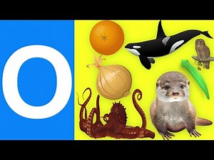 Words That Start with O | Letter O words | Letter O | Alphabet O | Vocabulary For Kids