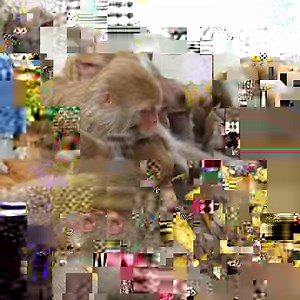 467K views · 10K reactions | Smart monkey eaten 300 pieces of banana in 2 minutes | Feeding Animal | Facebook