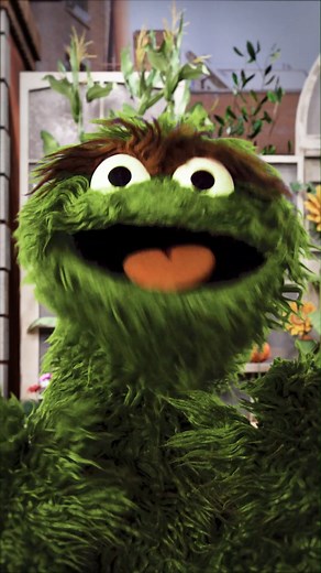 Who agrees? To be honest, I don't care if you do. | Oscar the Grouch