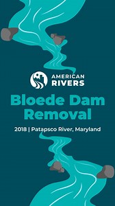 6 years after the Bloede Dam came down, the Patapsco River is thriving! 🌊 It’s hard to believe a dam was ever here. After nearly a decade of advocacy, this removal became one of the most important river restoration projects in the U.S. This reconnected river is now safer for visitors, and is helping to revitalize the health of the entire Chesapeake Bay. ➡️ Learn more: https://www.americanrivers.org/patapsco/index.html | American Rivers