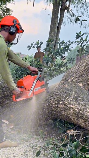 1.8M views · 26K reactions | Best Wood Cutting! | Iswoko | Facebook