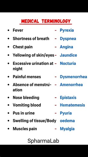 🩺 Medical Terminology Made Easy Common symptoms & their medical terms quick and simple revision 📚 .... .. . #MedicalTerminology #MedicalShorts #MedicoLife #PharmaStudents #NursingStudents #HealthcareBasics #StudyShorts #MedicalKnowledge #QuickRevision #spharmalab | Spharmalab