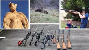 Australia's gun history