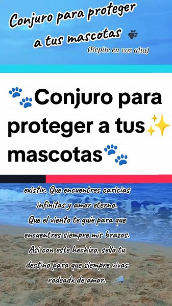 Conjuro para proteger a tus mascotas 🐾✨☘️ #magiablanca #yosoy #universo #seresdeluz #guiasespirituales #mundoholistico #mascotas #terapiaholística #mensajedetusguias #espiritualidad #paratii #guiasespirituales #brujitips #proteccion #mascotas