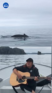 This is like something from a Disney film 🥹❤️ | Daily Mail Video