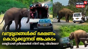 1.3M views · 10K reactions | തെളിവായി ശ്രീലങ്കയിൽ നിന്ന് ഒരു വീഡിയോ? #elephant #SriLanka #wildlife | News18 Kerala | Facebook