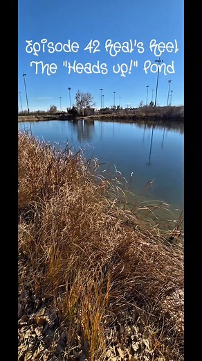 Real Rodriguez on Reels | Facebook