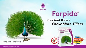 Your wait is over! Presenting ADAMA's new insecticide, Forpido! It is fortified with zinc which means apart from effective control over borers, you will also gain more tillers. It has a dual mode of action and is powered by Chlorantraniliprole 0.53% Fipronil 0.8% GR. Get ready for: ✅ Long-lasting protection against stem borers. ✅ Stronger and healthier crops with Zinc's phytotonic effect. ✅ Ease of application with its granular formulation. ✅ Safe and environment-friendly pest management. #ADAMA