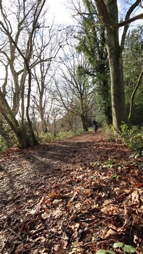 Triumph T100SS modified to desert racer spec (498cc parallel twin cylinder engine). Rider in shot is Will Coleman from Coleman customs. Instagram @coleman__customs Will s#247 | Abigail Martin
