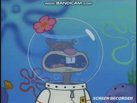 bsoD gsoD Sandy cheeks cry