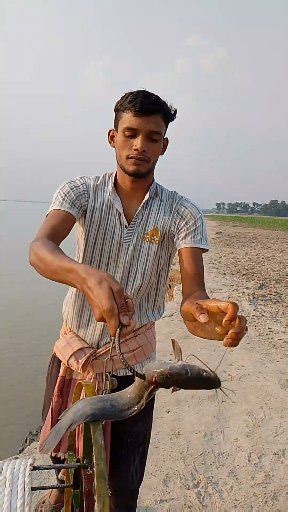 Amazing hook fishing with magur fish bait on river #fishing #river | Fishing Life