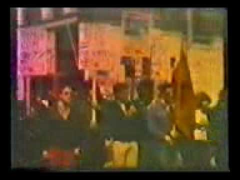 National Front History- part 3- Battle of Lewisham 1977