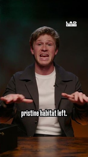 Robert Irwin on Whether Koalas Actually Have Chlamydia 🐨😳