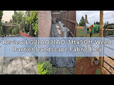 Review LGJIAOJIAO 3ftx50ft Weed Barrier Landscape Fabric Heavy Duty，Weed Block Gardening Ground Cove
